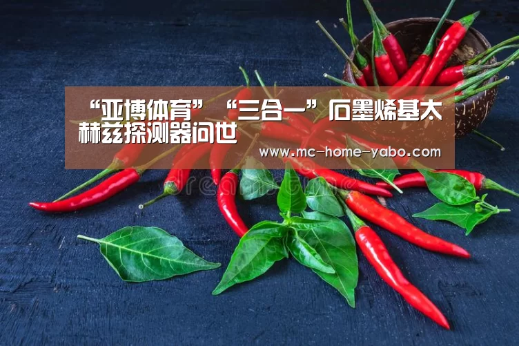 “亚博体育”“三合一”石墨烯基太赫兹探测器问世(图3) 亚博