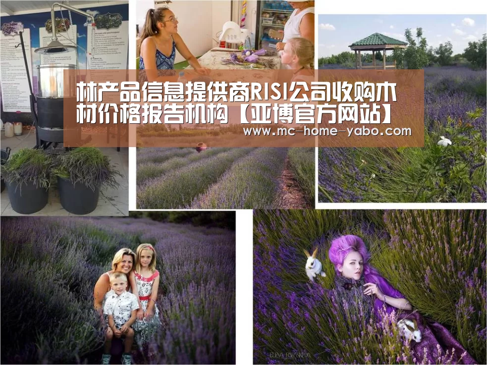 林产品信息提供商RISI公司收购木材价格报告机构【亚博官方网站】(图3) 亚博体育