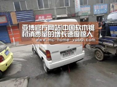 亚博官方网站|中国软木锯材消费量的增长速度惊人(图1) 亚博