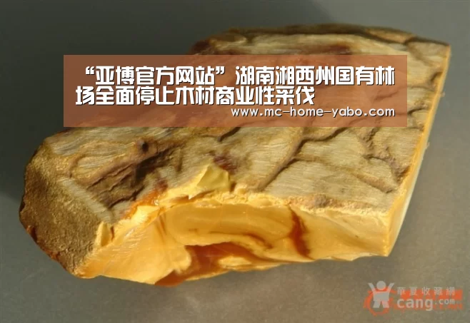 亚博官方网站