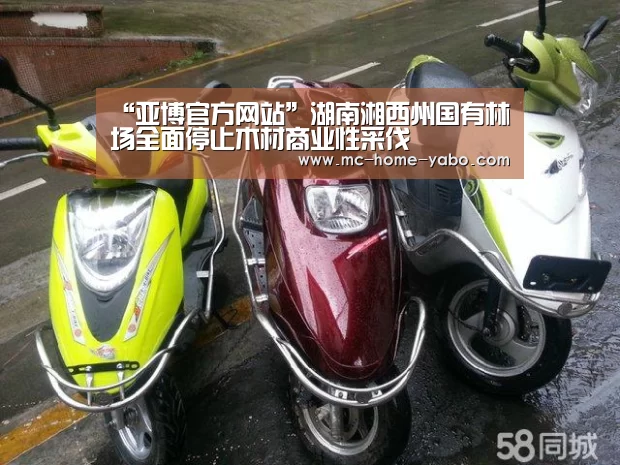 亚博官方网站
