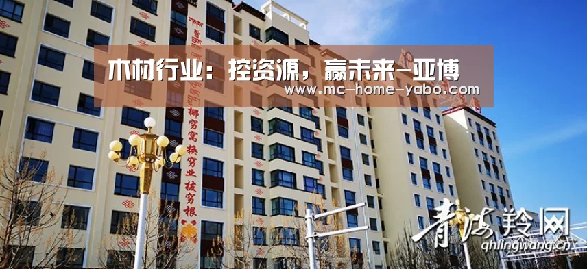 木材行业:控资源,赢未来-亚博(图1) 亚博
