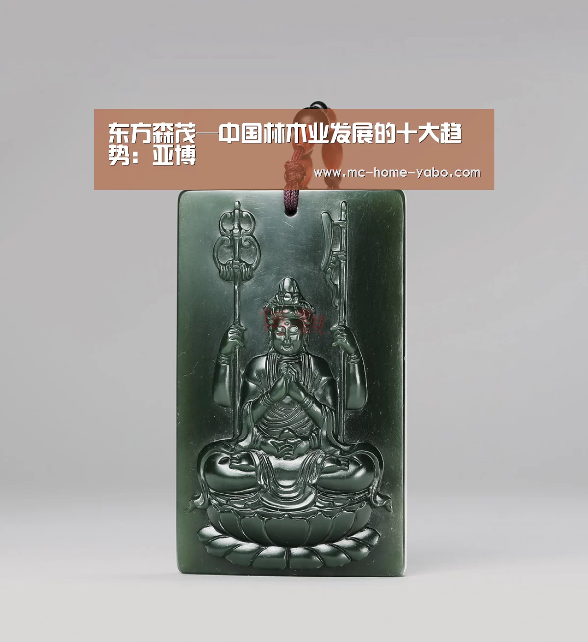 东方森茂—中国林木业发展的十大趋势:亚博(图4) 亚博官方网站