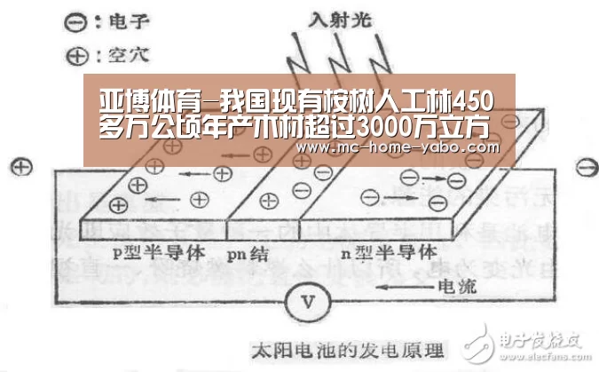 亚博体育-我国现有桉树人工林450多万公顷年产木材超过3000万立方米(图2) 亚博体育